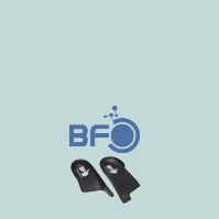 BFO란?